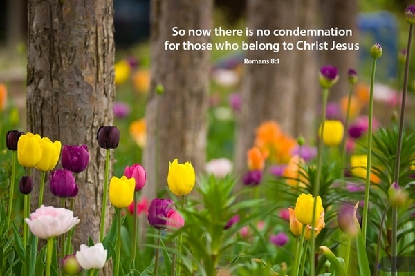 Sunday Morning Fellowship Time